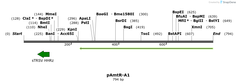 142618_map