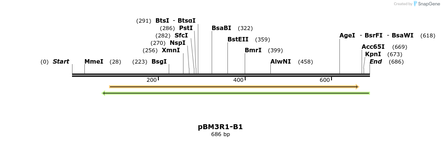 142621_map