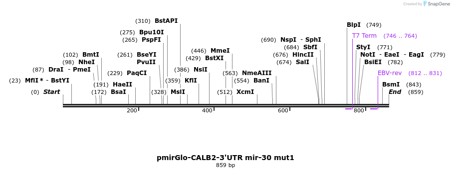 142623_map