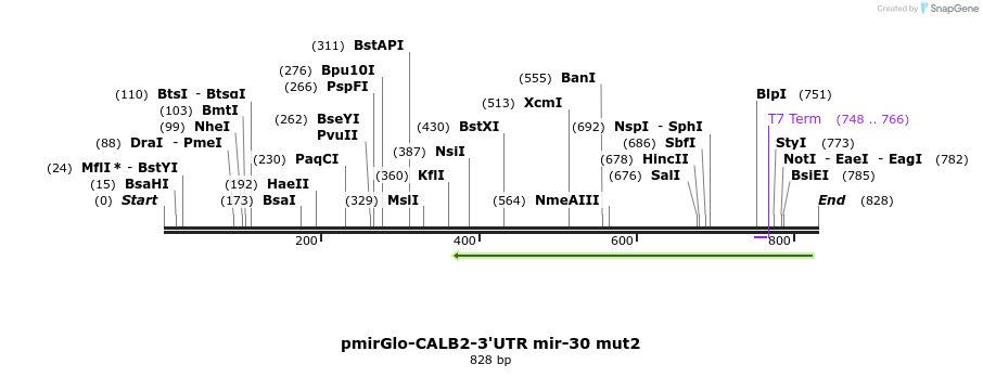 142624_map