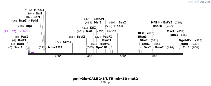 142625_map