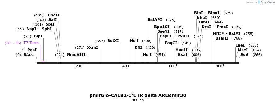 142627_map