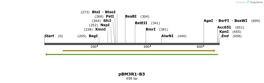 142628_map