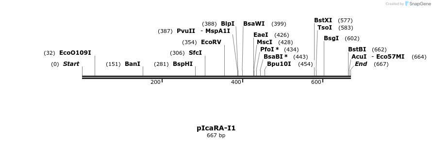 142629_map
