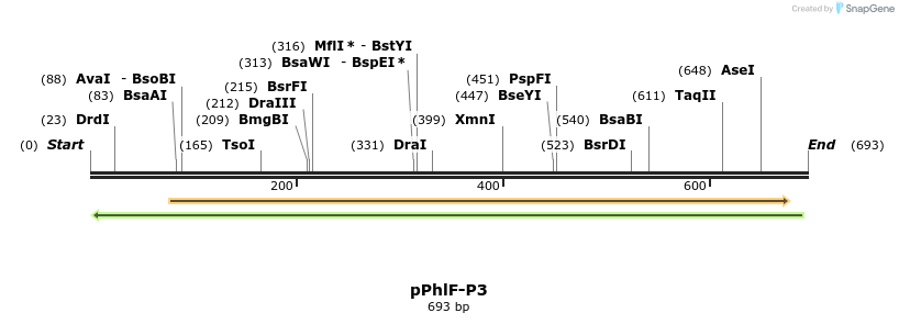 142630_map