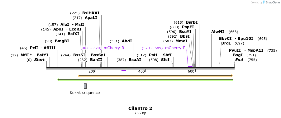 142632_map