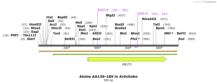 142634_map