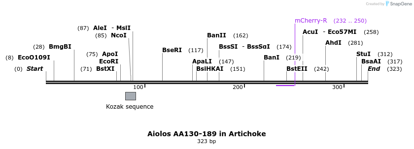 142636_map