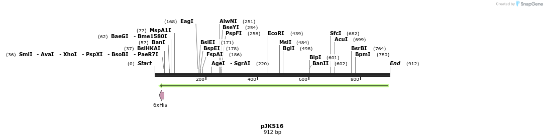 142637_map