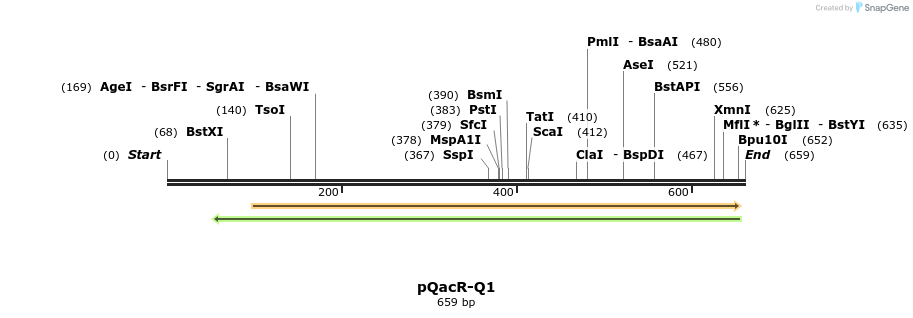 142656_map