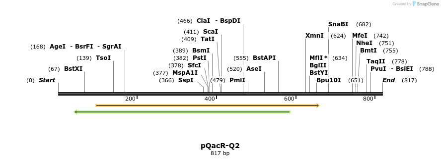 142657_map