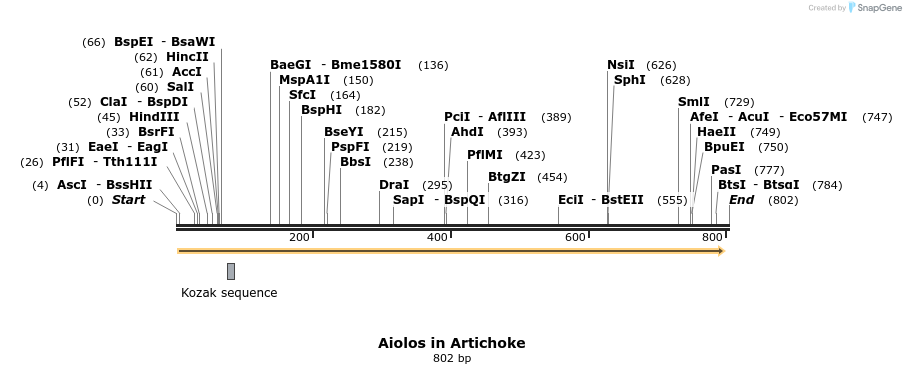 142659_map