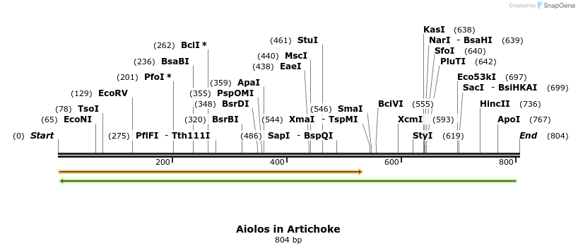 142660_map