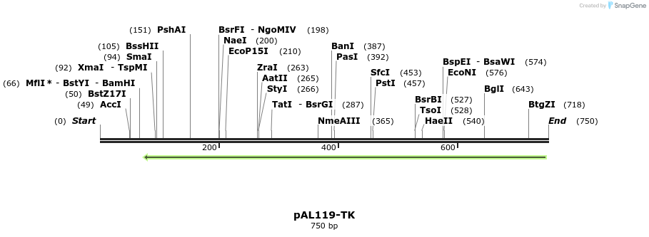 142661_map