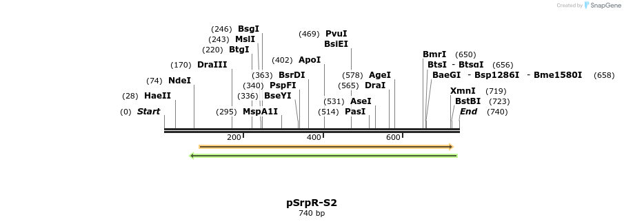 142664_map