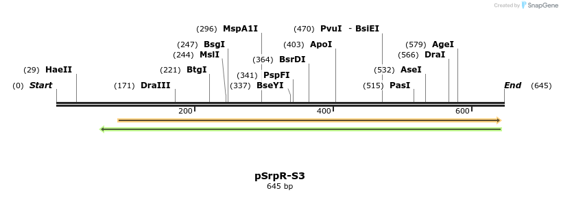 142665_map