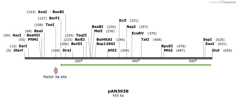 142666_map