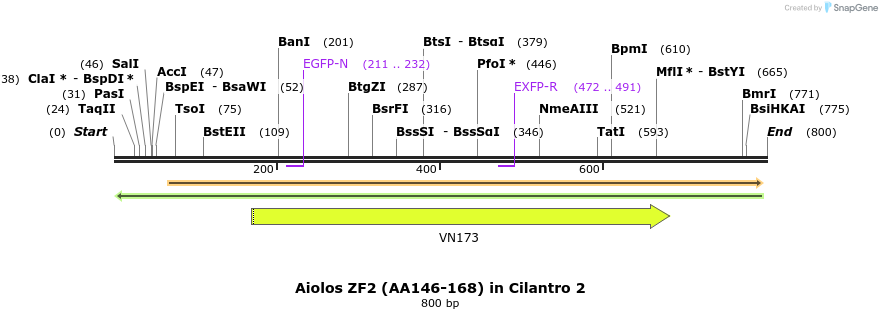 142667_map