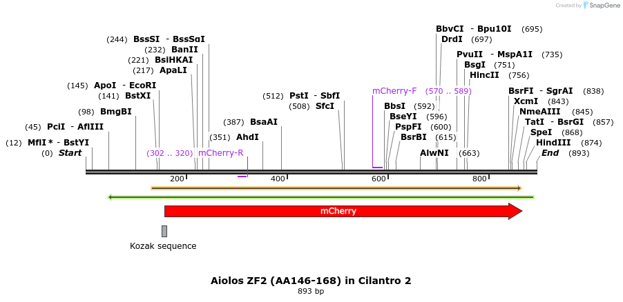 142668_map