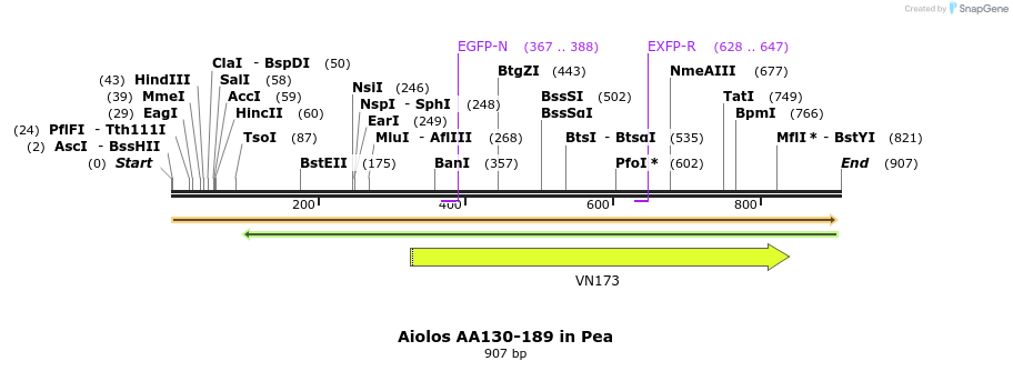 142669_map