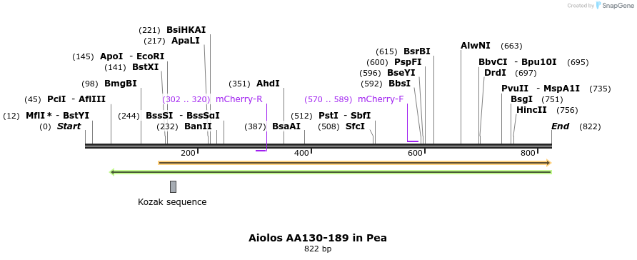 142670_map