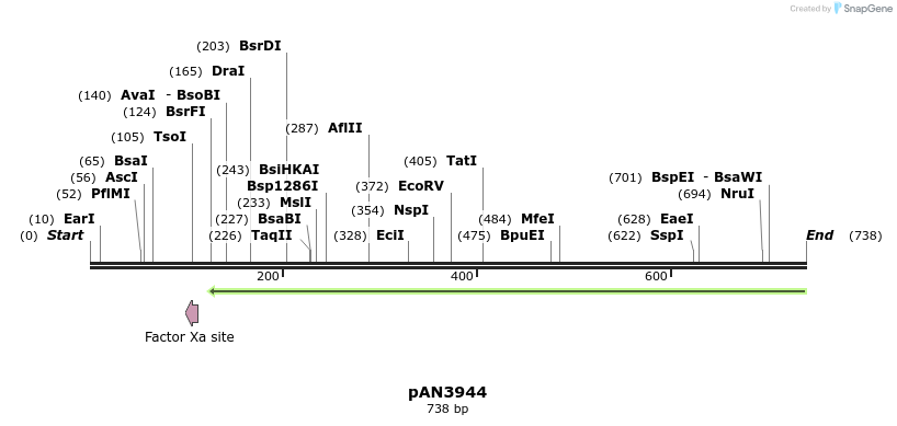 142672_map