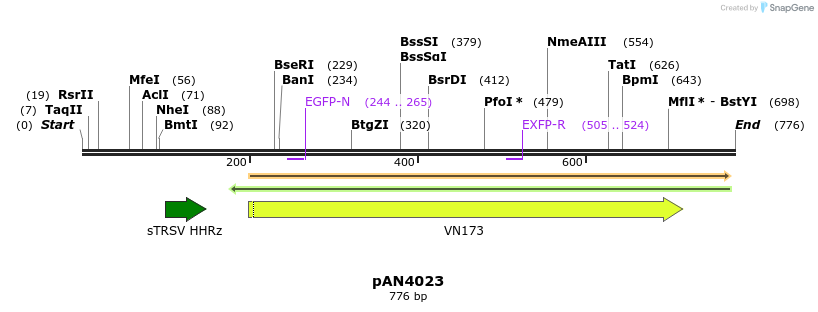 142675_map