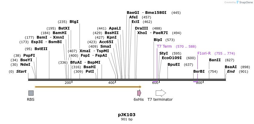 142678_map