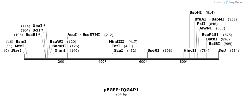 142680_map