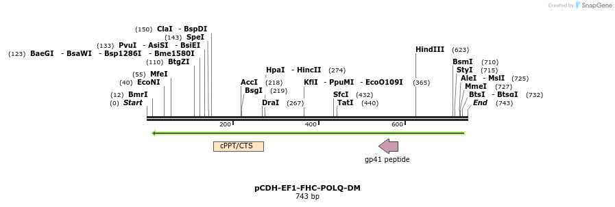 142686_map