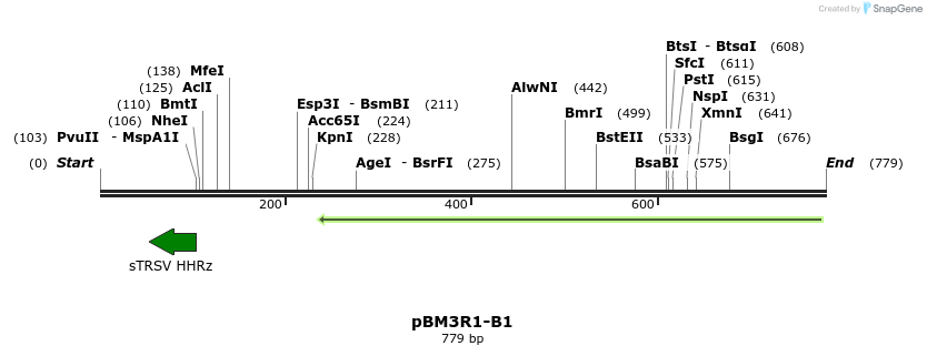 142688_map
