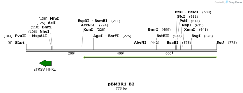 142692_map