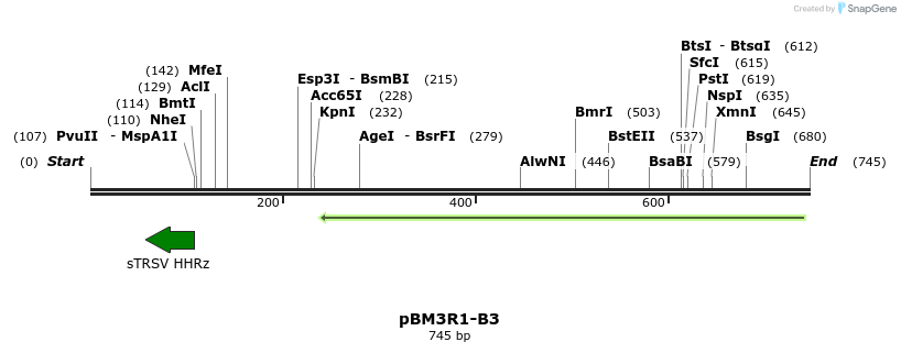 142693_map