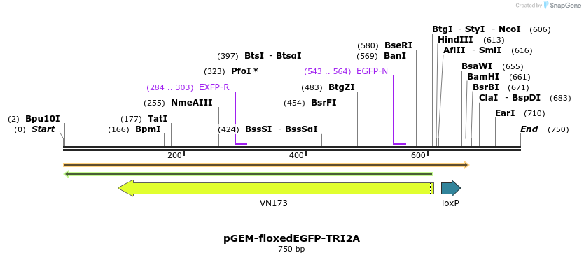 142694_map