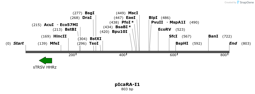 142695_map