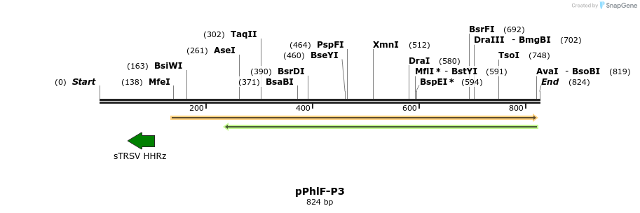 142696_map