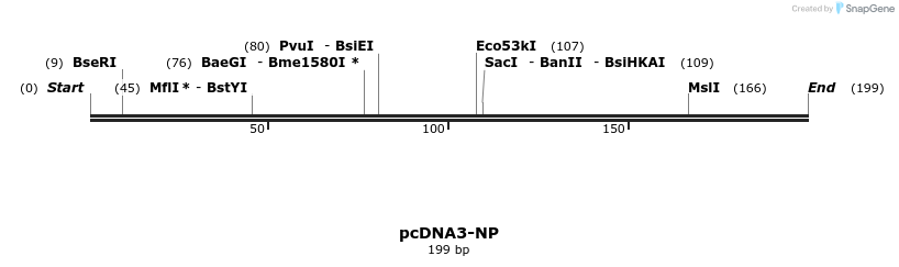 142698_map