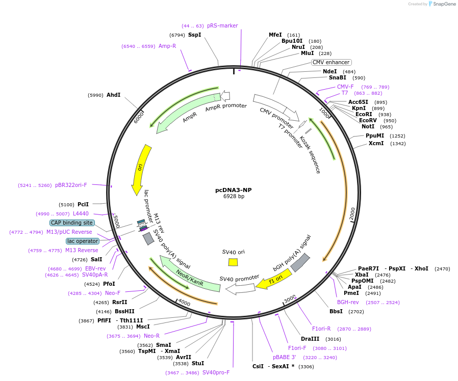142700_map