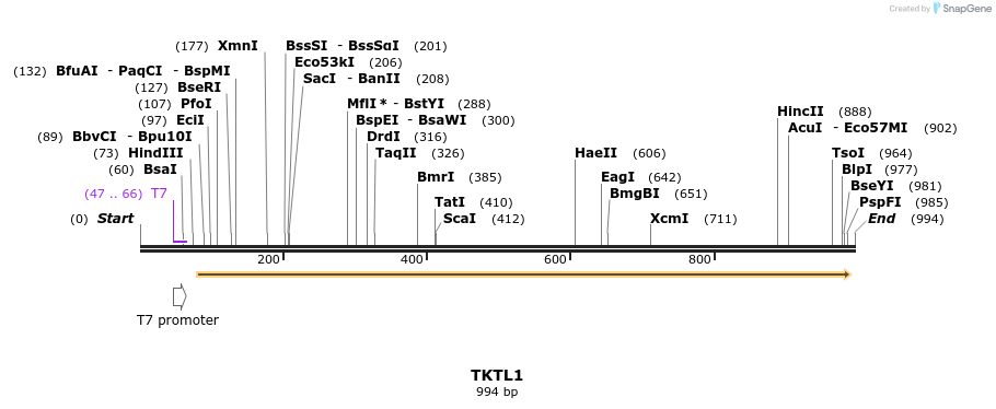 142711_map