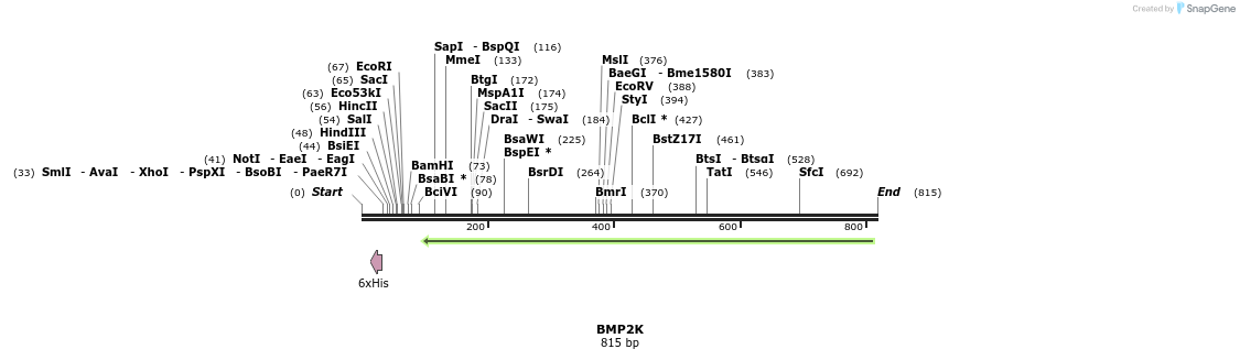 142716_map