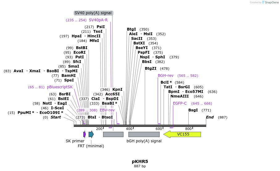 142718_map