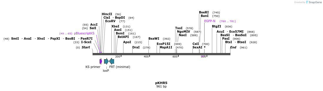 142720_map