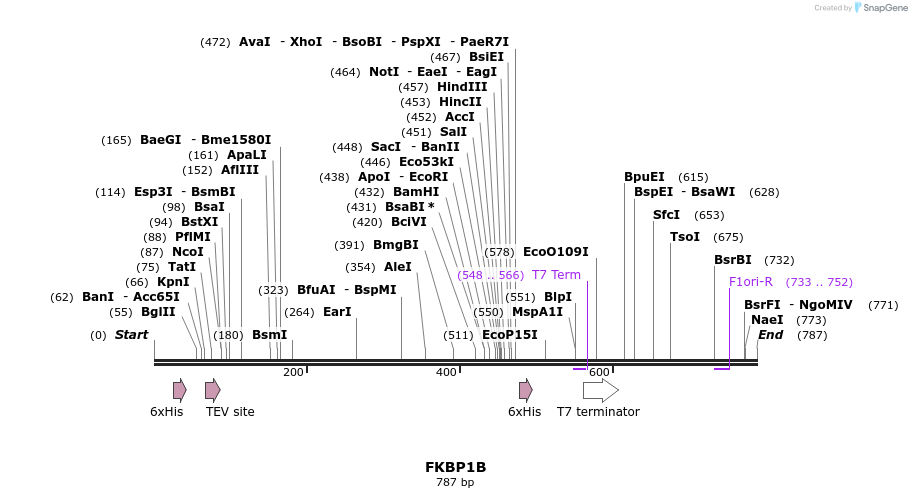 142724_map