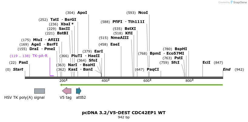 142727_map