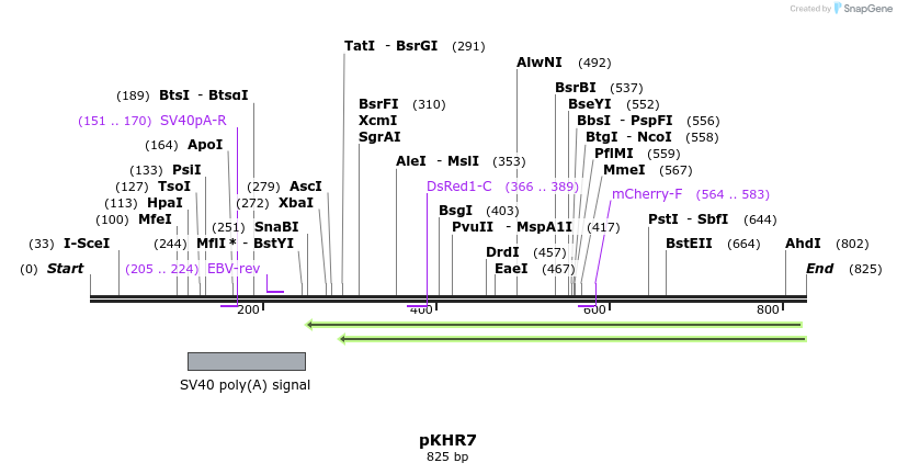 142731_map