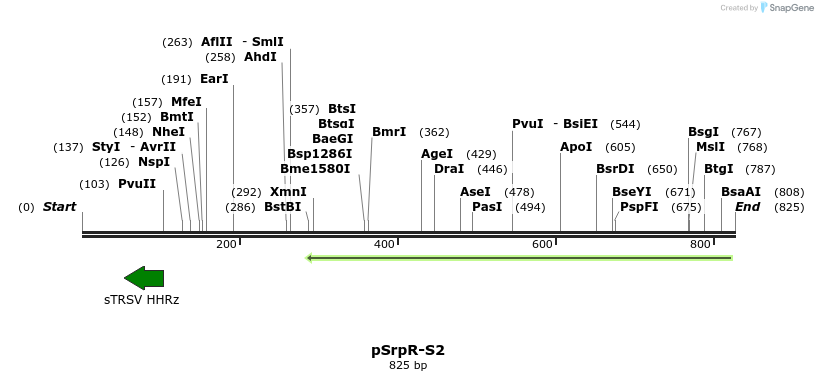 142733_map