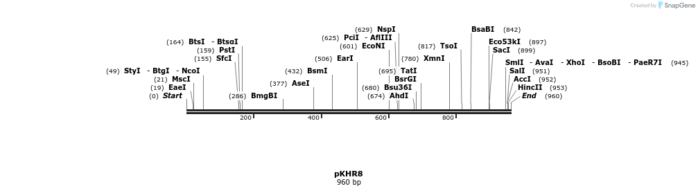 142736_map