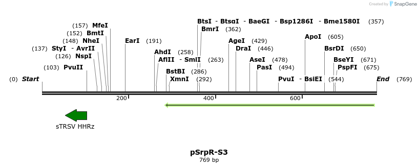 142737_map
