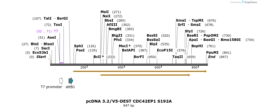 142739_map