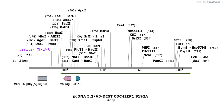 142740_map